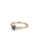 Blue Sapphire and Diamond Duo Ring